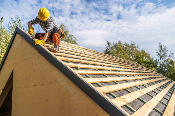 Roof Gutter Cleaning in Glenwood, MN